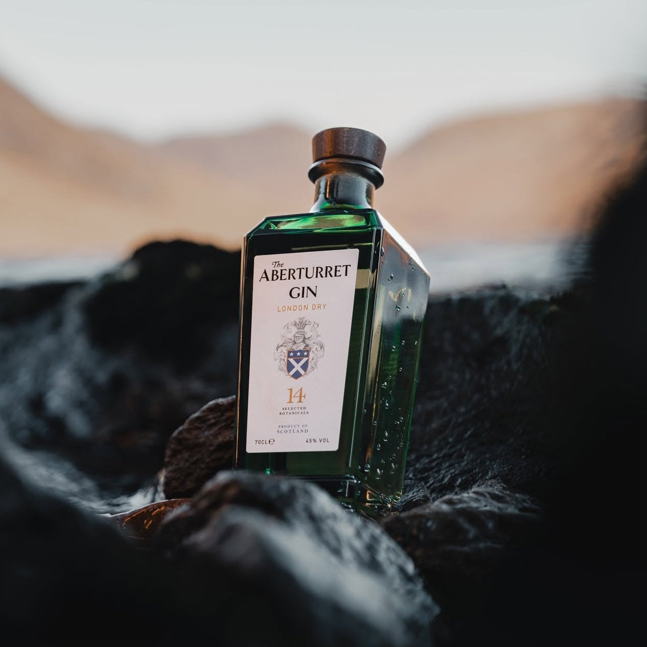 Load image into Gallery viewer, A bottle of Aberturret London Dry Gin stands on dark rocks outdoors, with blurred hills and water in the background.