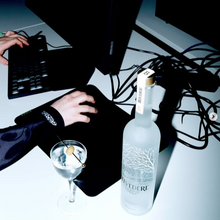 Load image into Gallery viewer, Woman using a computer with a bottle Belvedere vodka on a desk