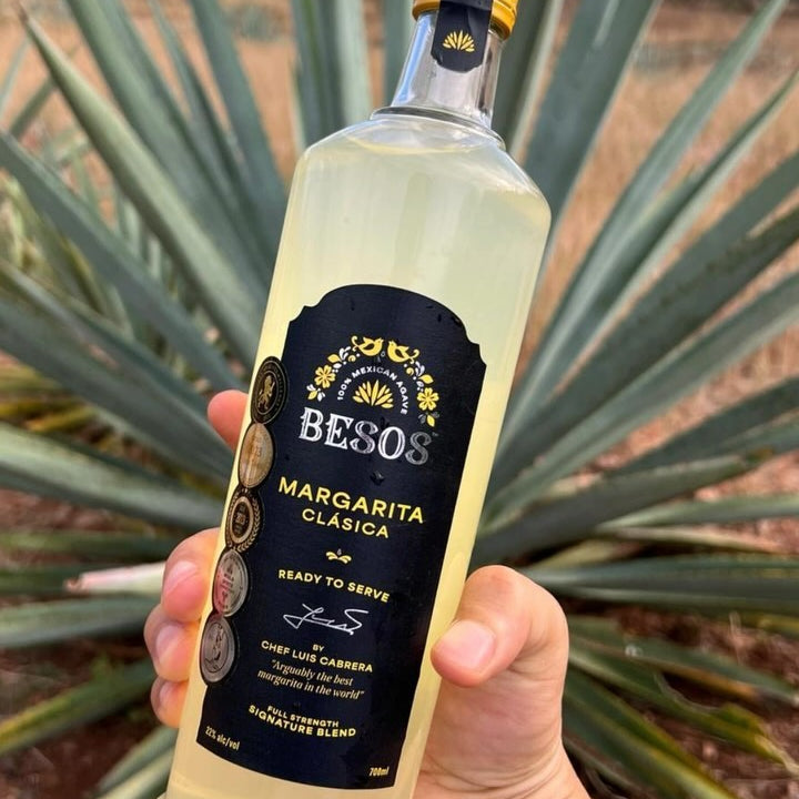 Load image into Gallery viewer, Besos Margarita Clasica ready to serve cocktail bottle held in front of agave plants with a blue sky.