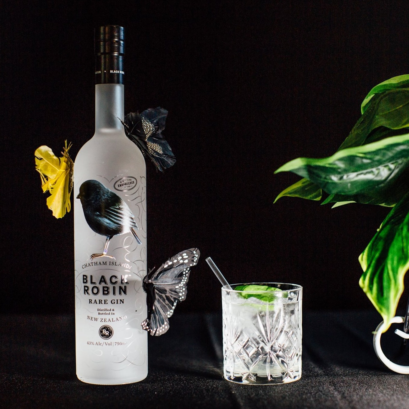 Load image into Gallery viewer, Black Robin Rare Gin