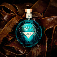 Load image into Gallery viewer, Bluff London Dry Gin