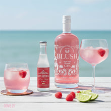 Load image into Gallery viewer, Blush Rhubarb Gin Gift Box