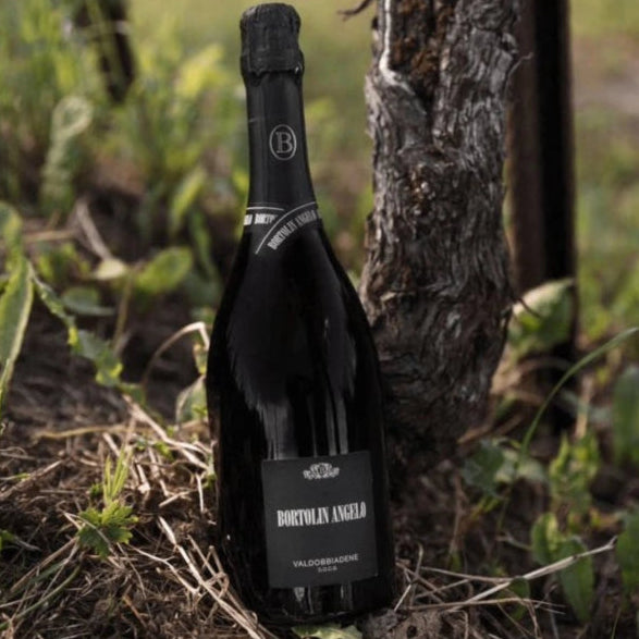 Load image into Gallery viewer, Bottle of prosecco leaning against a tree in a natural setting