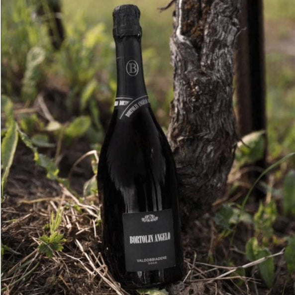 Bottle of prosecco leaning against a tree in a natural setting