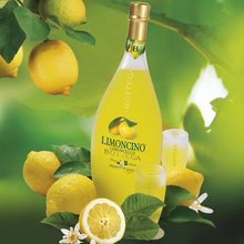Load image into Gallery viewer, Bottle of Bottega Limoncino surrounded by lemons and a glass on a green background