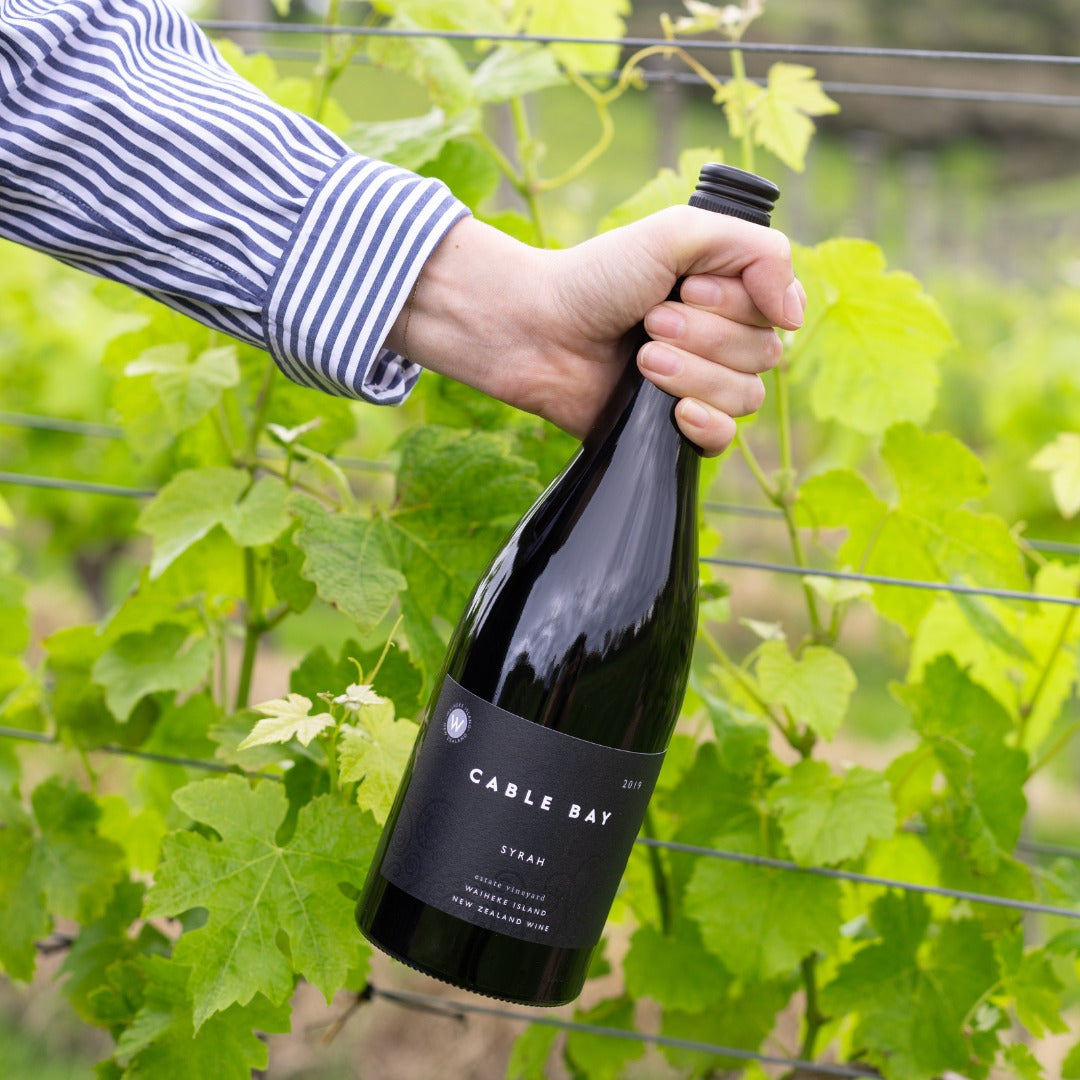 Load image into Gallery viewer, A man holding a bottle of Cable Bay Waiheke Island Syrah against the grape vines