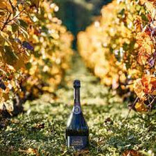 Load image into Gallery viewer, A bottle of champagne with a autumn setting in the background
