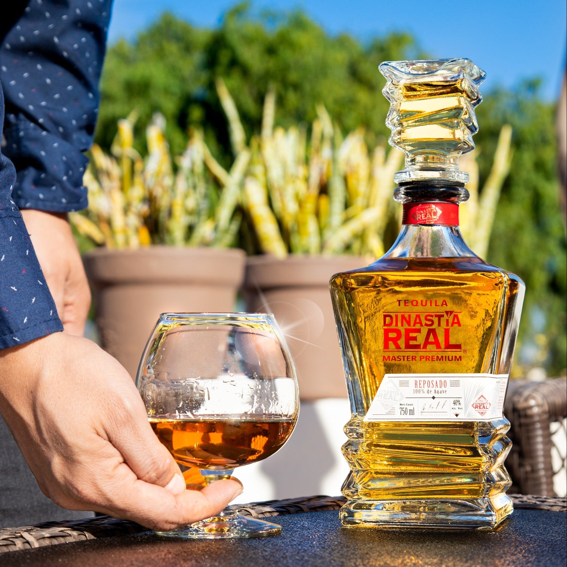 Load image into Gallery viewer, Person holding a glass of tequila next to a bottle of Dinastia Real Master Premium Reposado Tequila.