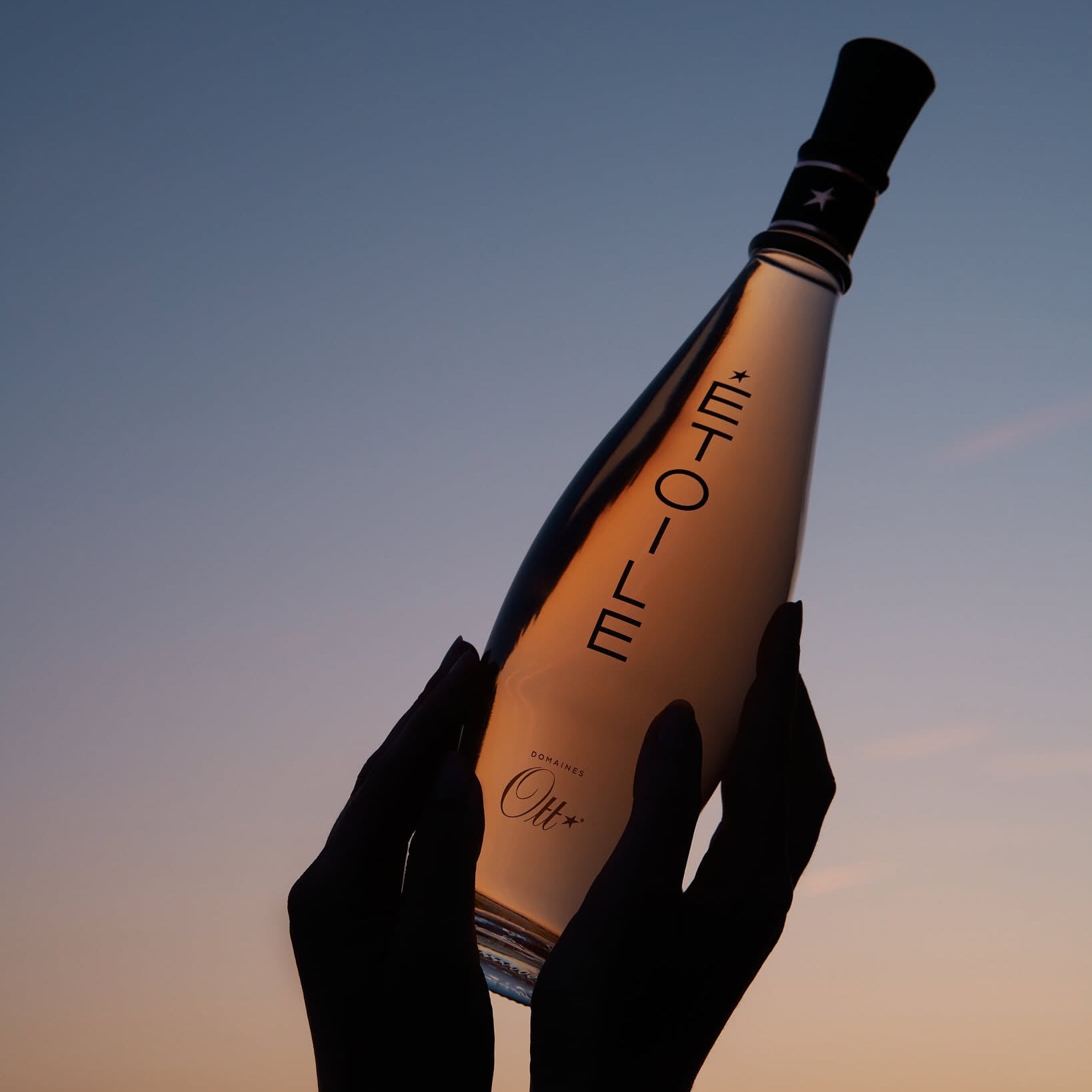 Load image into Gallery viewer, A person's hands holding a bottle of Ott Etoile Rosé wine against a sunset sky background.
