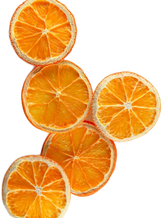 F N Orange Garnish Slices