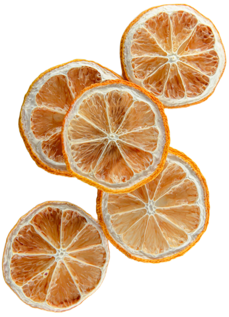 Dried lemon slices on a white background
