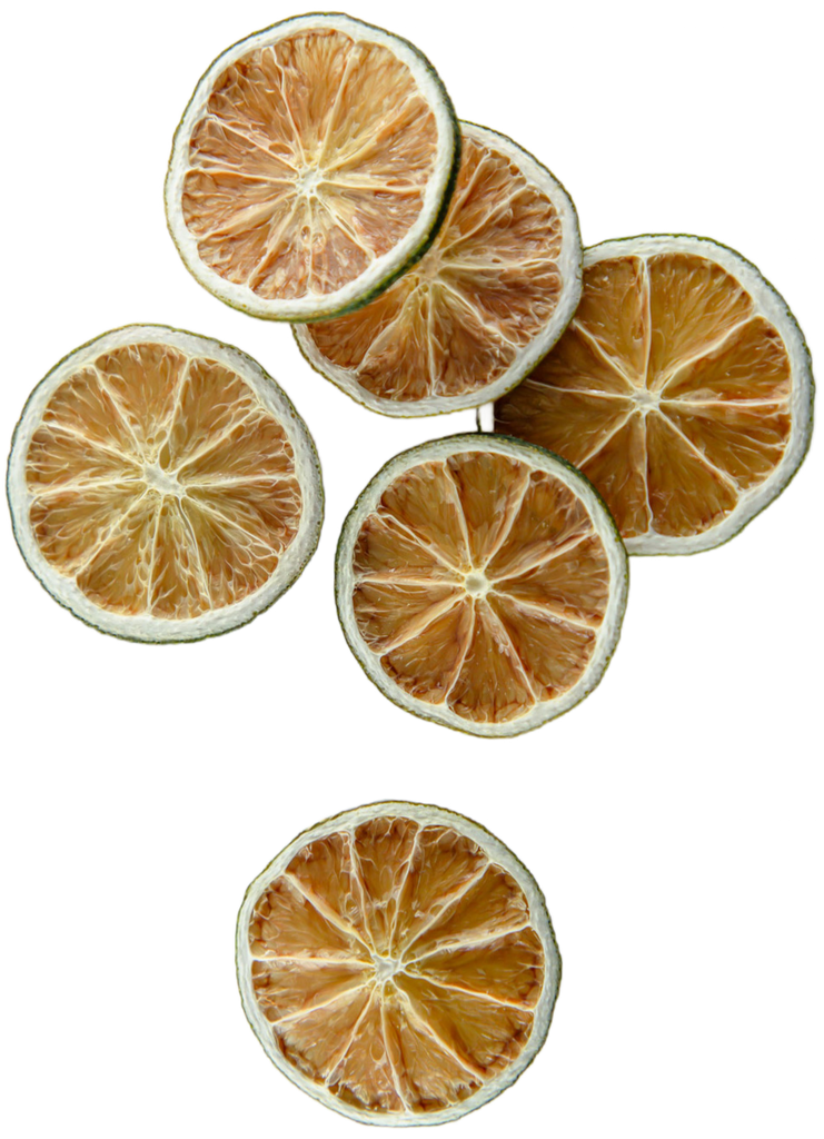 Dried lime slices on a white background