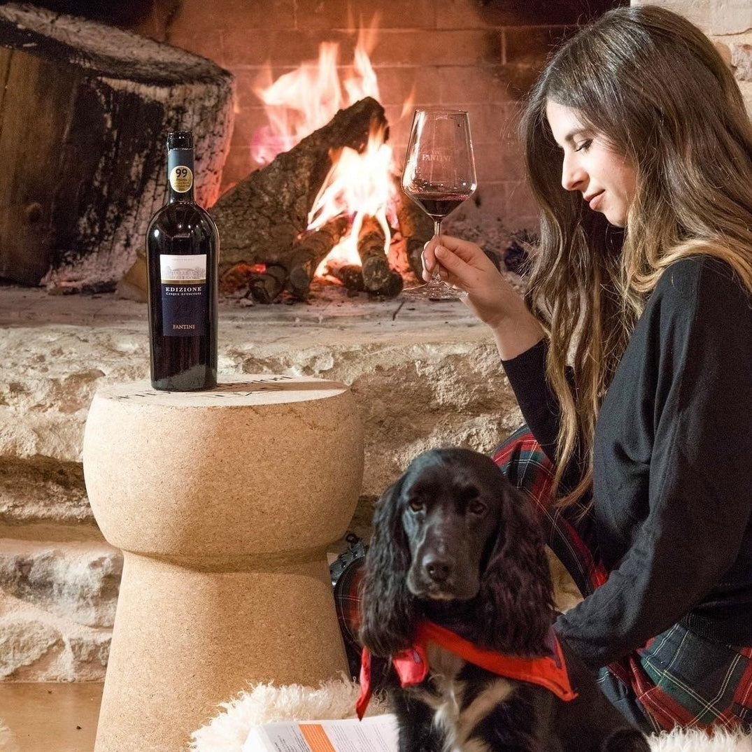 Load image into Gallery viewer, A bottle of Farnese Fantini Edizione Cinque Autoctoni red wine with woman and dog in front of fire place