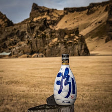 Load image into Gallery viewer, Bottle with blue design in a desert landscape