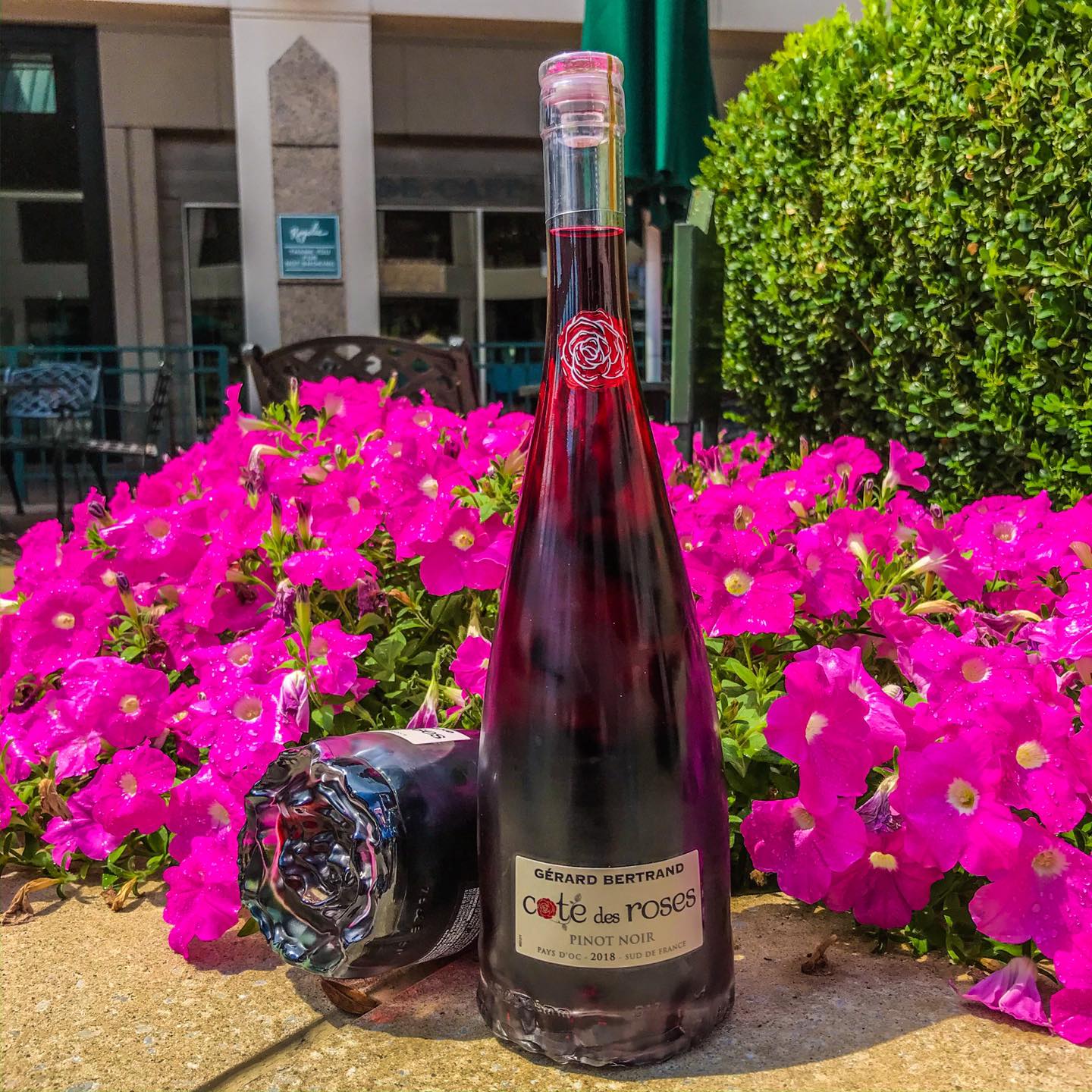 Load image into Gallery viewer, Gerard Bertrand Côte des Rosés Pinot Noir