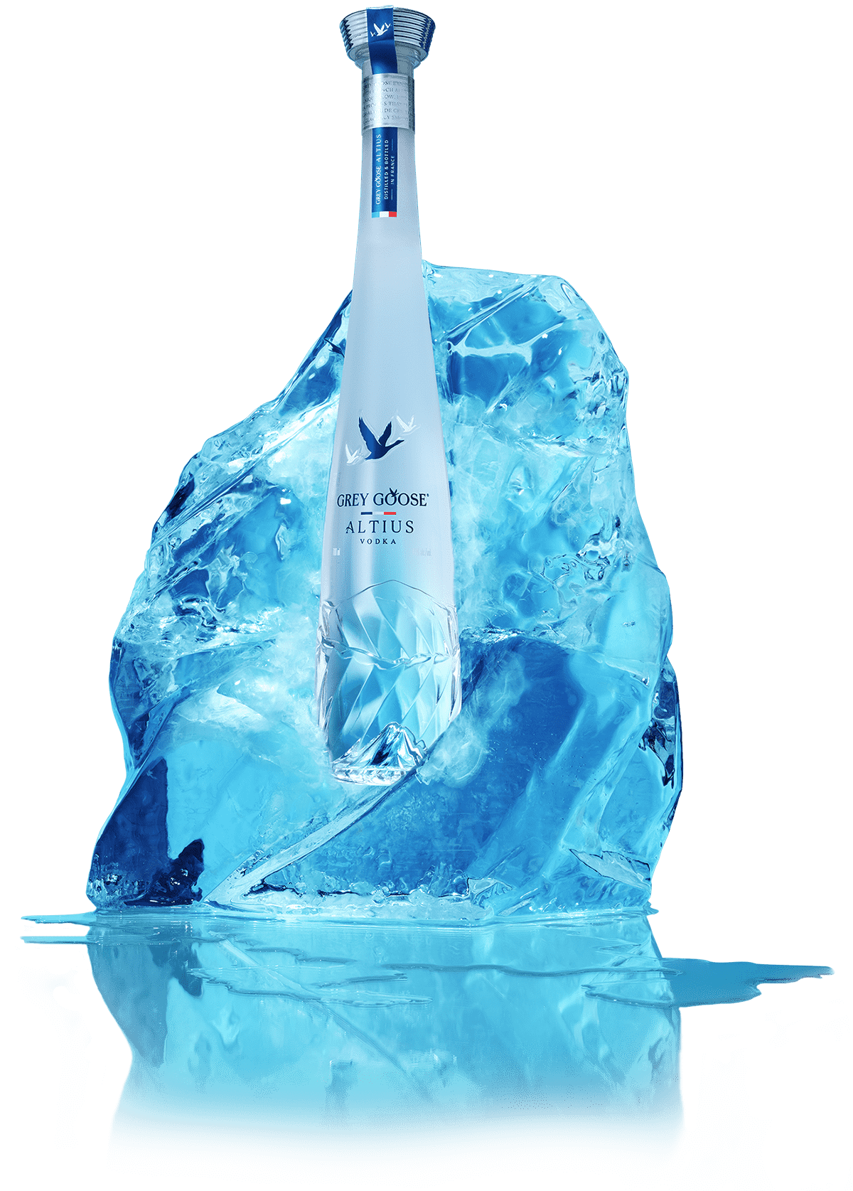 Load image into Gallery viewer, Grey Goose Altius Vodka