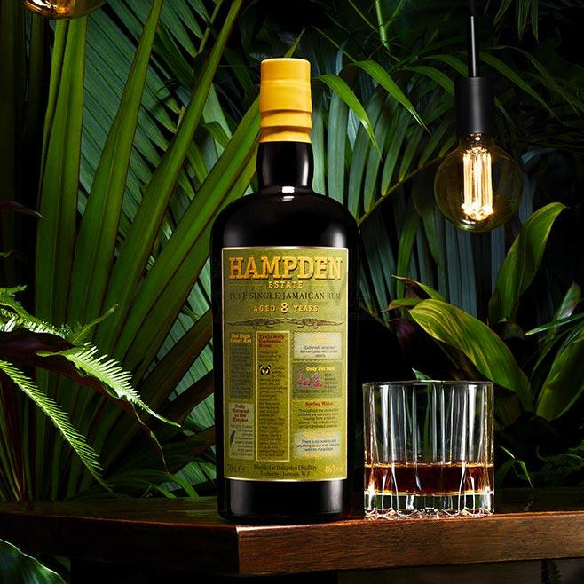 Bottle of Hampden 8yo rum with a glass on a wooden surface surrounded by green foliage.