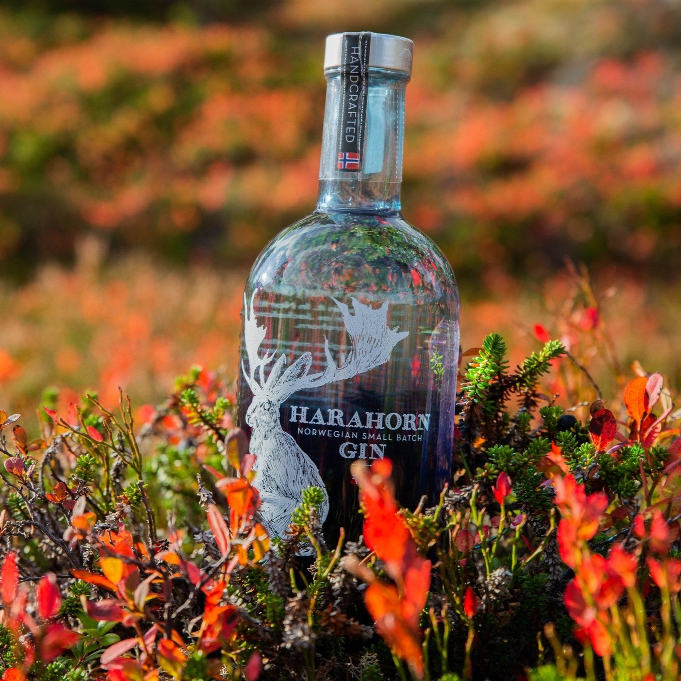 Load image into Gallery viewer, Bottle of Harahorn gin in a natural setting with autumn colours.