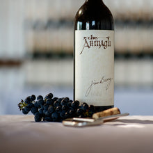 Load image into Gallery viewer, Jim-Barry-The-Armagh-Shiraz wine bottle with grapes and a spoon on a table, blurred background