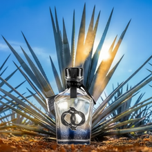 Load image into Gallery viewer, Tequila bottle with agave plants in the background