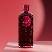 Load image into Gallery viewer, Bottle of Little Biddy Gin on a pink background
