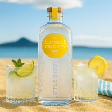 Load image into Gallery viewer, Bottle of Little Biddy Gin with two glasses of gin and tonic on a beach.
