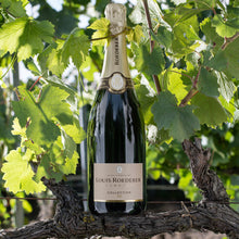 Load image into Gallery viewer, Louis Roederer champagne bottle on a vine branch with green leaves in the background