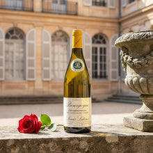 Load image into Gallery viewer, Bottle of Louis Latour Bourgogne Chardonnay wine with a red rose on a stone ledge in front of a classical building.