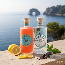 Load image into Gallery viewer, Malfy Arancia &amp; Originale Gin Gift Box