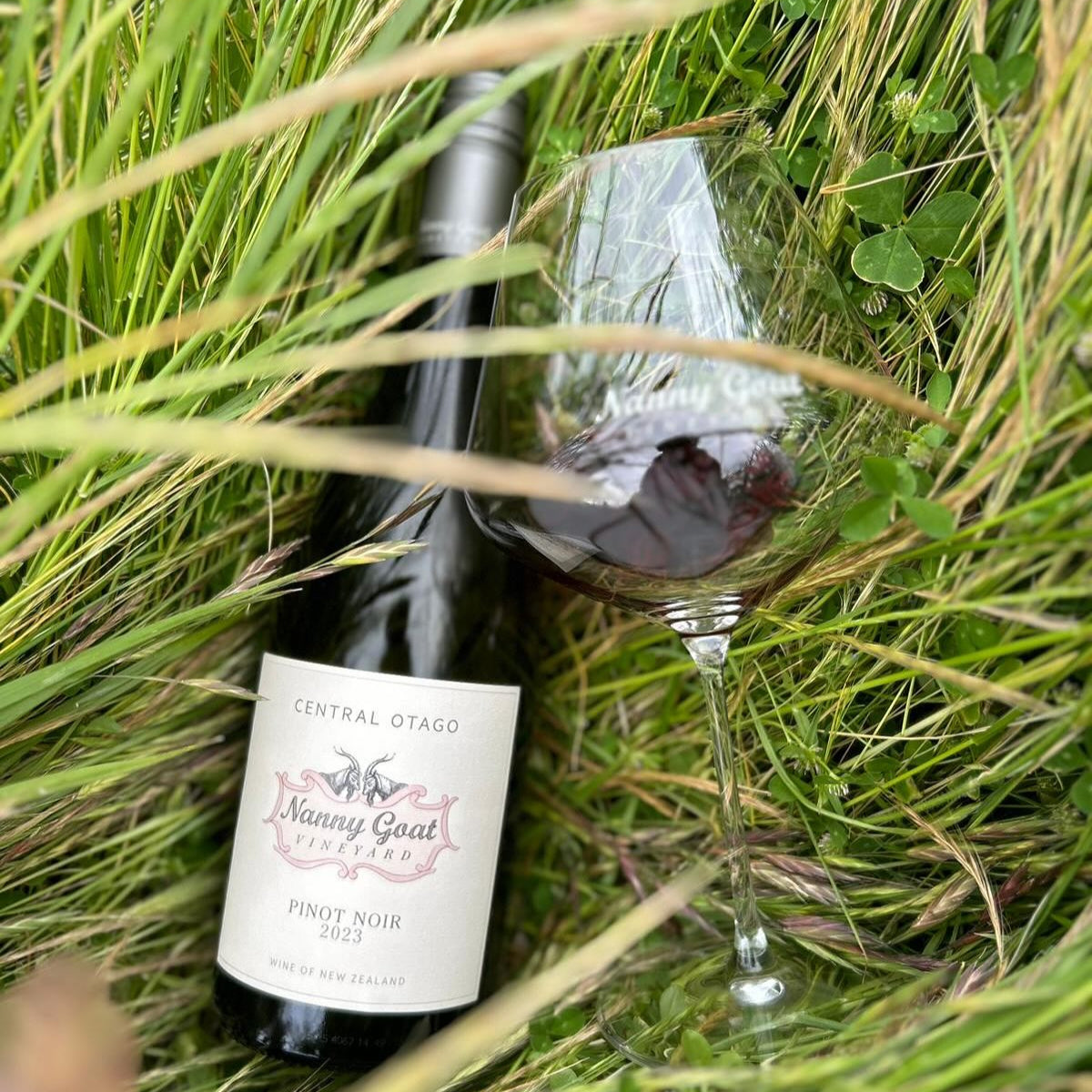 Load image into Gallery viewer, Bottle of Nanny Goat Pinot Noir wine and a glass in grass