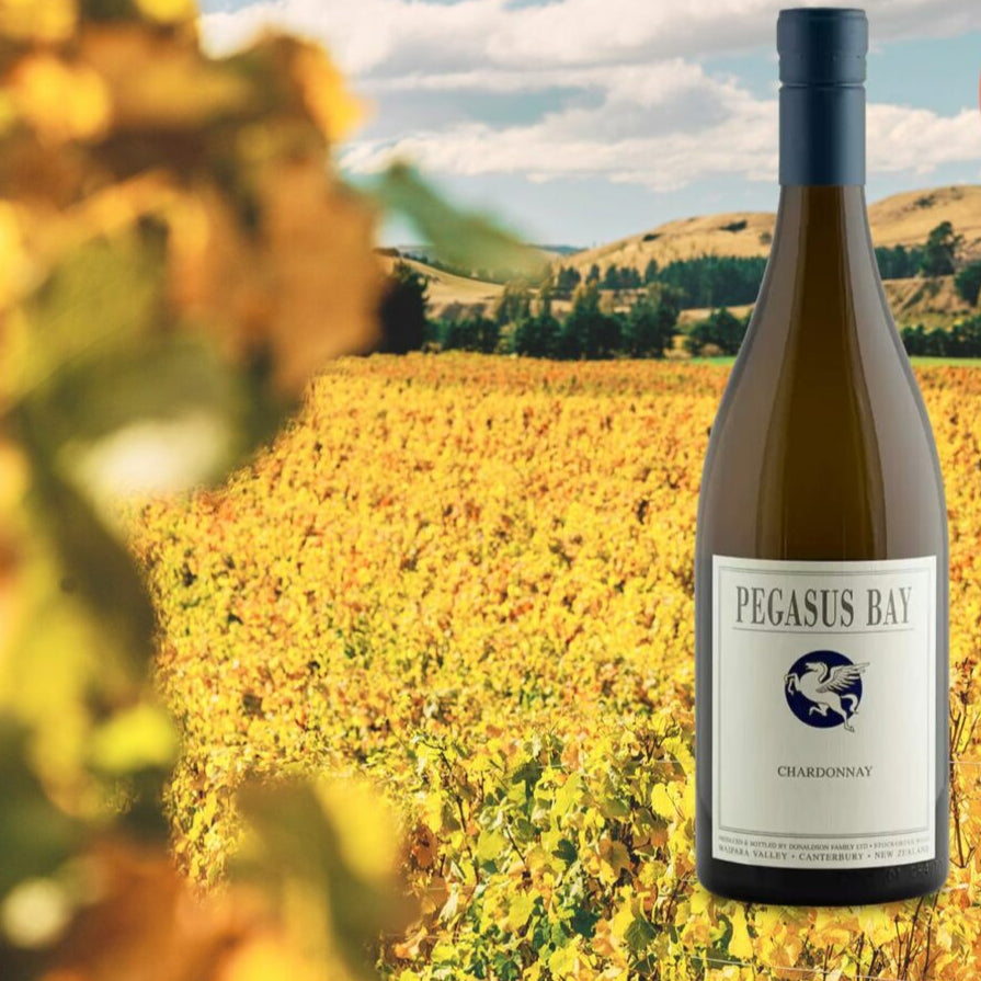 Bottle of Pegasus Bay Chardonnay with a vineyard background.
