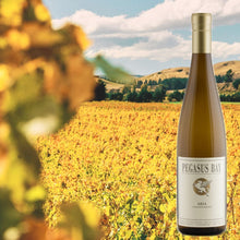 Load image into Gallery viewer, Bottle of Pegasus Bay wine with a vineyard and hills in the background