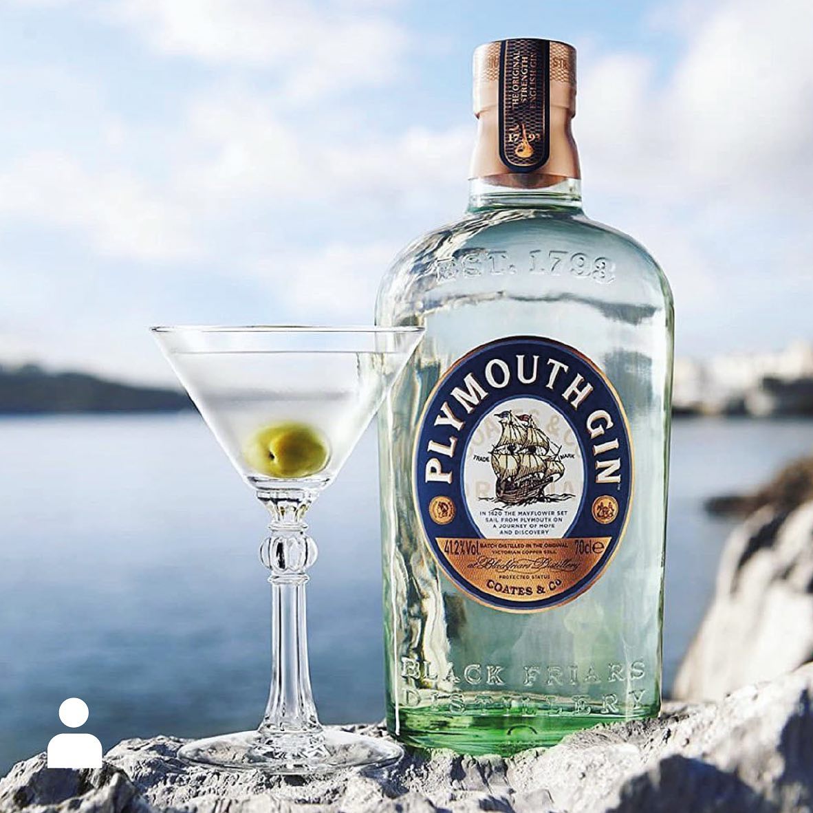 Load image into Gallery viewer, Bottle of Plymouth Gin with a cocktail glass containing a green olive by a waterfront.