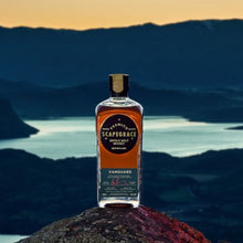 Load image into Gallery viewer, Scapegrace Vanguard Single Malt Whisky bottle on a rock with a scenic background.