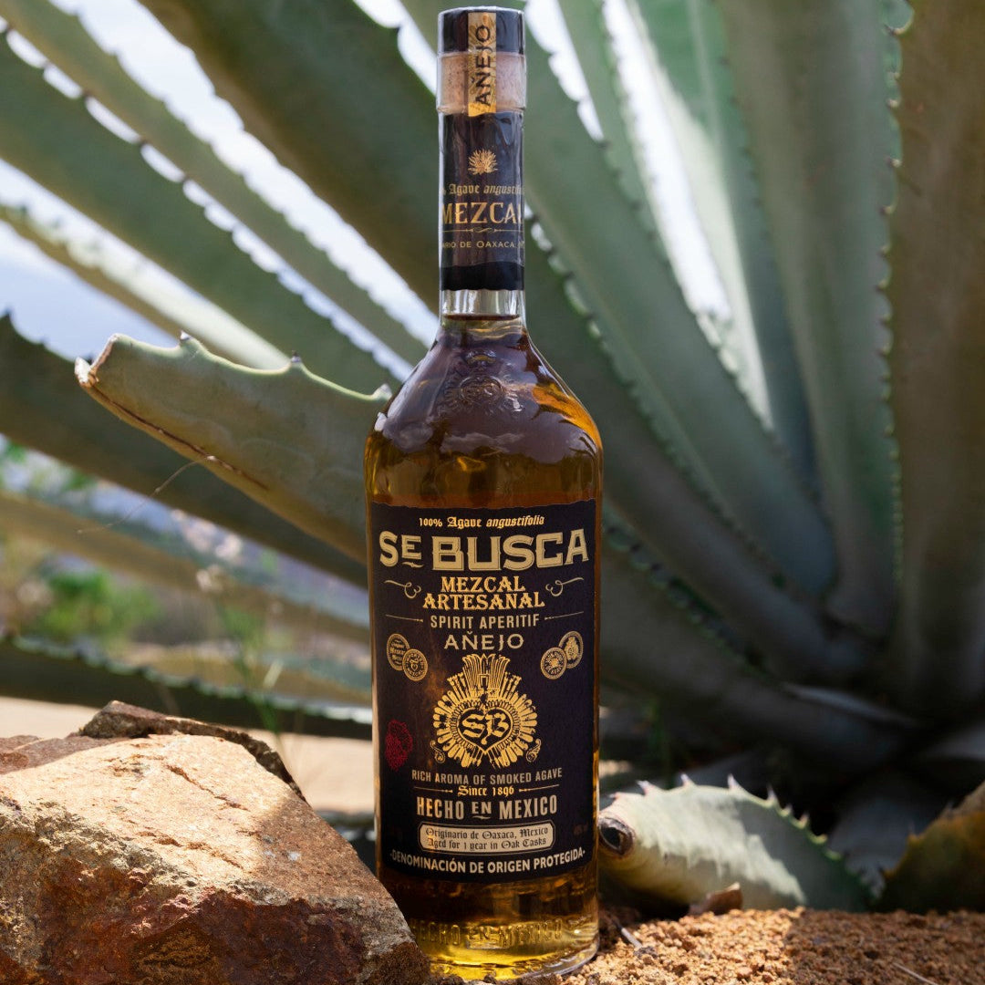 Load image into Gallery viewer, Bottle of Se Busca Mezcal in front of an agave plant