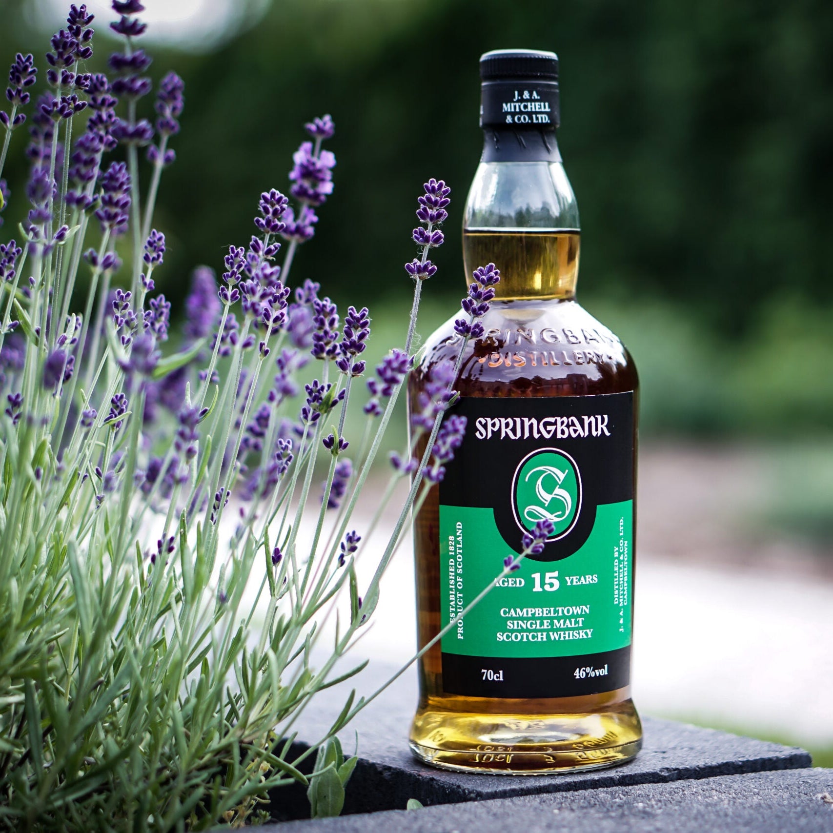 Load image into Gallery viewer, Springbank whisky bottle with lavender plants in the foreground
