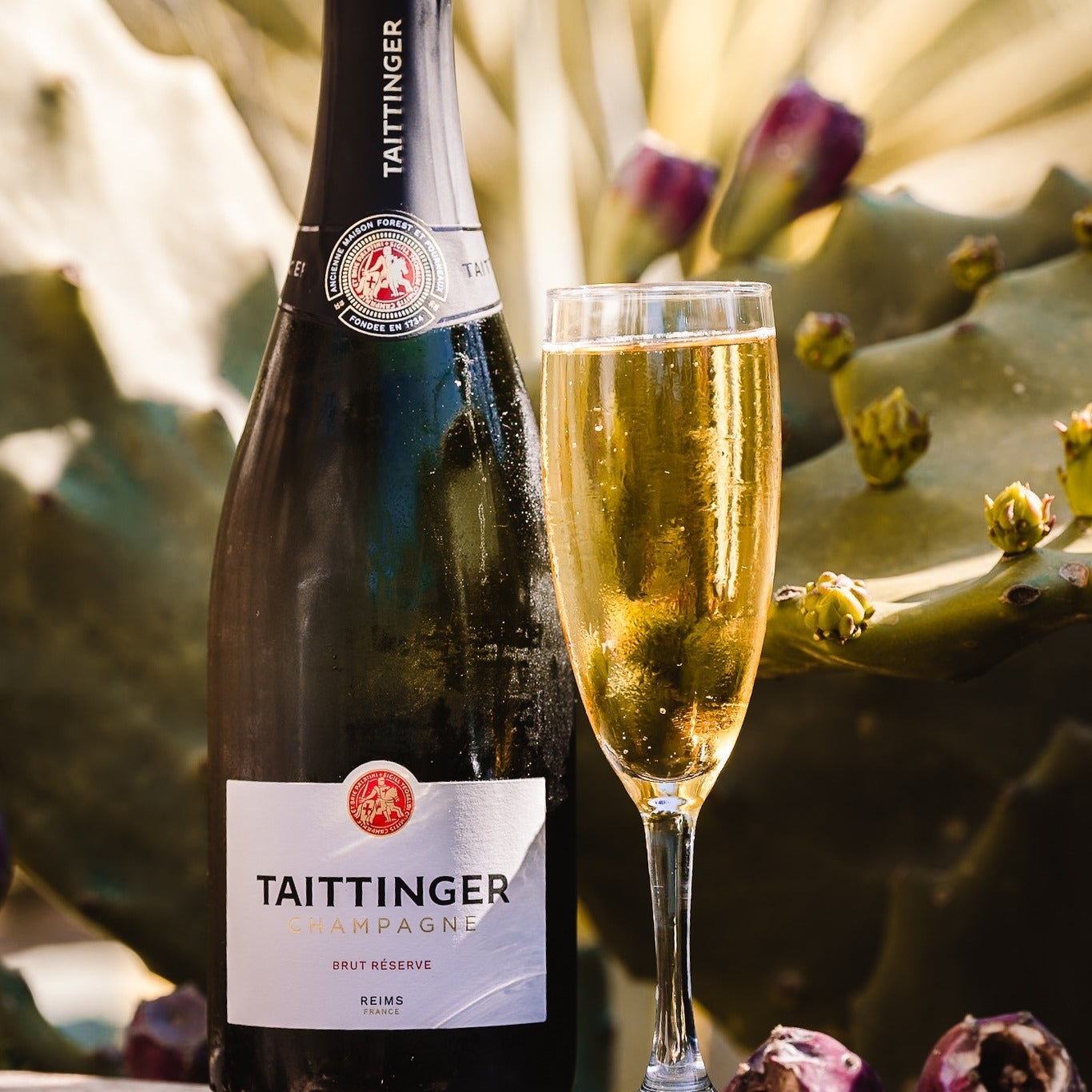 Load image into Gallery viewer, Taittinger champagne bottle and glass on a rustic surface with cacti in the background