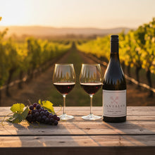 Load image into Gallery viewer, Tantalus-Regional-Pinot-Noir wine bottle and glasses with grapes on a wooden table in a vineyard setting