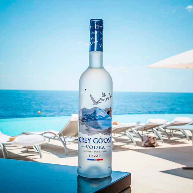 Load image into Gallery viewer, Grey Goose Vodka 3L