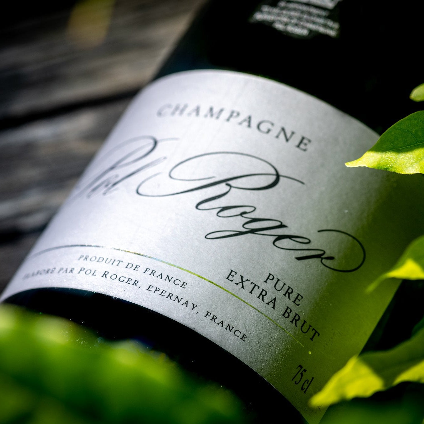 Load image into Gallery viewer, Champagne bottle of Pol Roger with green leaves in the foreground